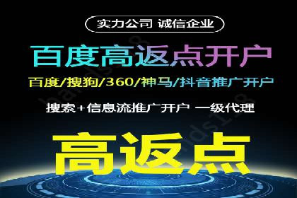 SEM外包服务应用案例分析